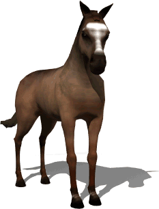 horse