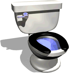 toilet
